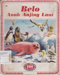 Image of Belo Anak Anjing Laut
