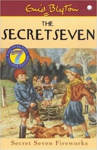 Secret Seven, The 11: Secret Seven Fireworks